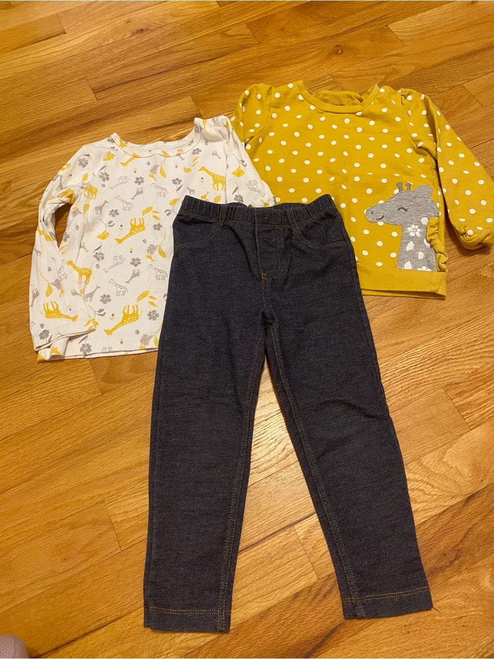 Carter’s Giraffe Outfit